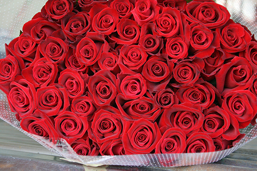 東京ディズニーランドホテル プロポーズに赤バラ花束108本 斉藤ばら園のブログ