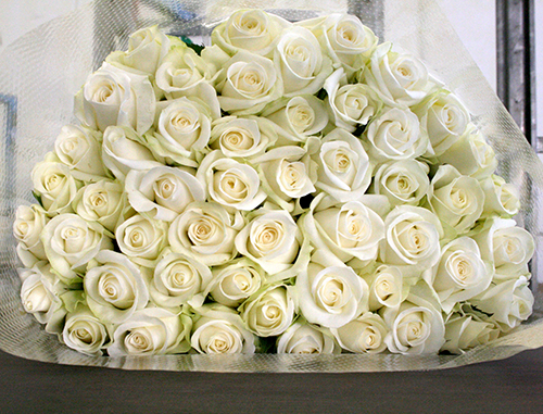 東京都杉並区 誕生日プレゼントに白バラ花束57本 斉藤ばら園のブログ