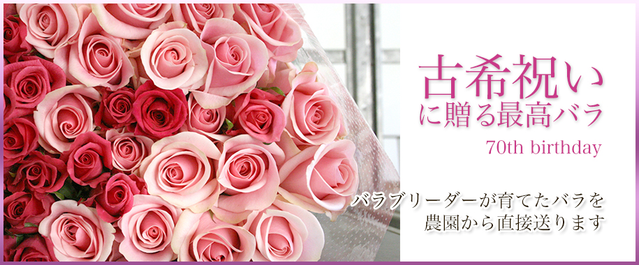 古希のお祝いにバラの花束を！お祝いのバラは産地直送の斉藤バラ園