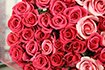 還暦祝いに贈るバラの花束!バラの色・本数選択　10本￥6000～