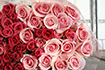 60 本のバラでお祝いを!還暦祝い用バラの花束(ピンク60本)