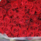 赤バラ花束108本