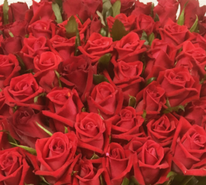還暦祝い60本赤バラ花束