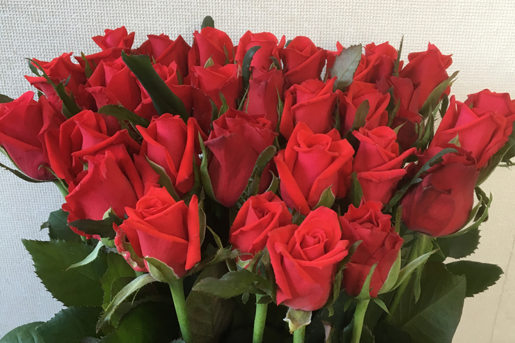 誕生日プレゼント赤バラ花束30本