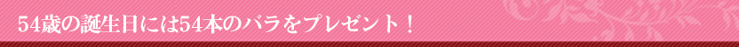 バラの花束54本 誕生日