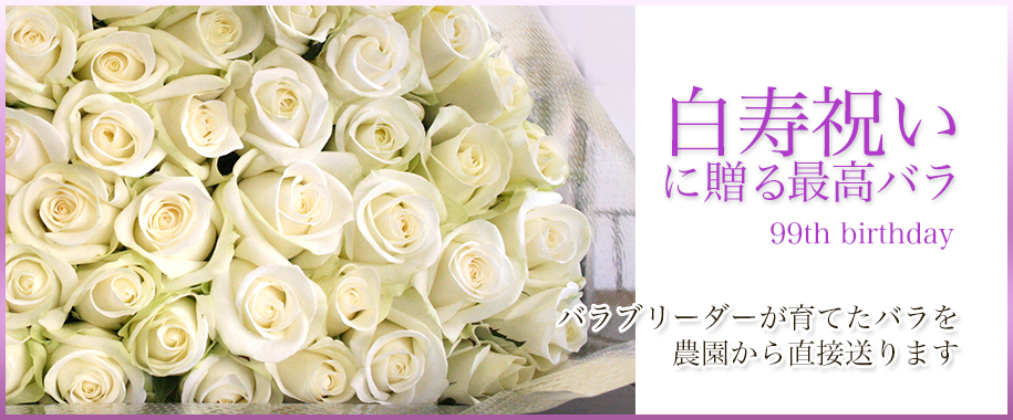 白寿のお祝いにバラの花束を！お祝いのバラは産地直送の斉藤バラ園