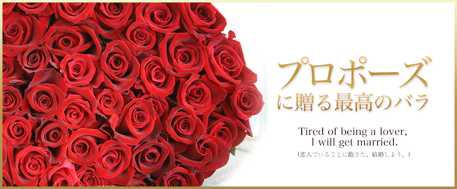 プロポーズにバラの花束を！お祝いのバラは産地直送の斉藤バラ園