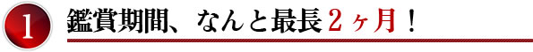 百寿 こだわりのバラ 1