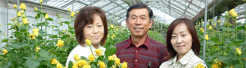 バラの花束26本 誕生日 こだわりのバラ