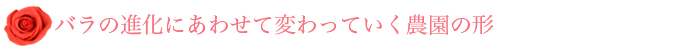バラの進化にあわせて変わっていく農園の形