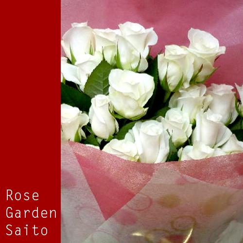 産地直送販売 斉藤バラ園 ホワイトクリスマス 白バラの花束 本数選択