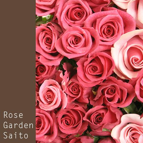 産地直送販売 斉藤バラ園 古希祝いにバラの花束 ピンク70本