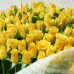 黄色いバラの花束【本数選択】