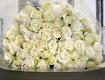 白いバラの花束 本数選択