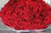 赤いバラ花束で情熱的にお祝い!【本数選択】