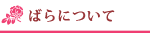 バラについて バラの花束の通販はお任せ