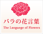 バラの花言葉 還暦などにお祝いのバラの花束 通販
